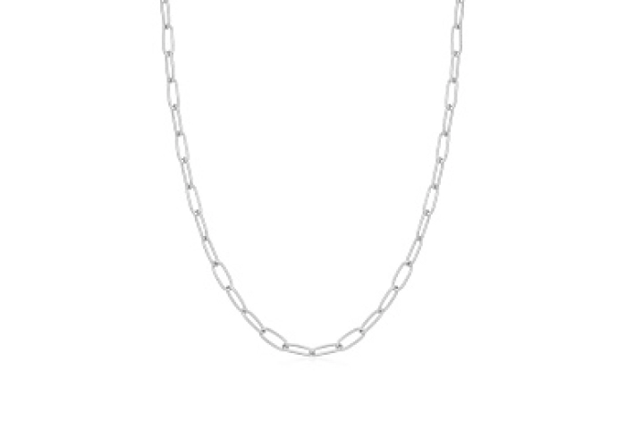 Silver Link Charm Chain Necklace