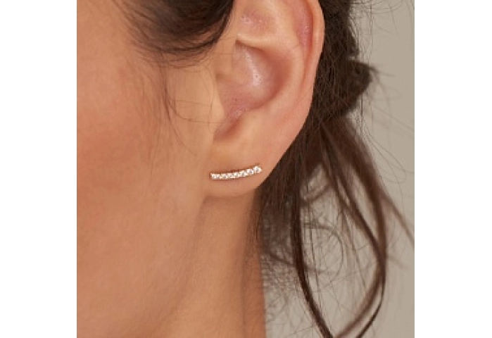 Glam Crawler Stud Earrings