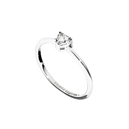 Кольцо Chiara Ferragni  / J19AXD11018