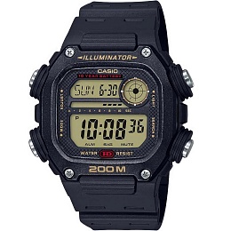 Casio General DW-291H-9AVDF Watch