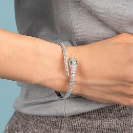 Браслет APM Monaco / AB4362XKG-S