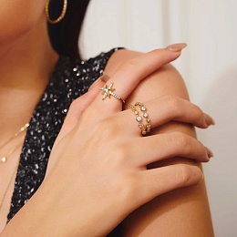 Кольцо Ania Haie / R065-02G-54