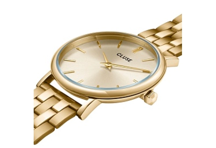 Pavane Petite 2.0 Steel Watch, Full Gold Colour