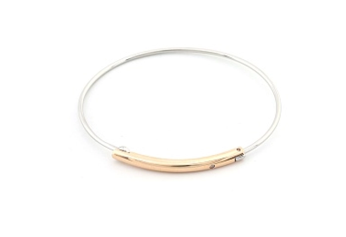 Skagen Bracelet/SKJ1083998