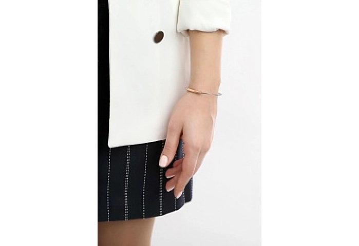 Skagen Bracelet/SKJ1083998