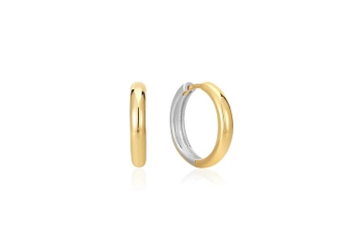Two Tone Hoop Earrings
