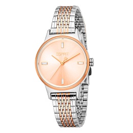 Наручные часы  Esprit / ES1L519M0055