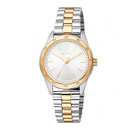 ESPRIT Women Watch, Two Tone Silver & Gold Color C