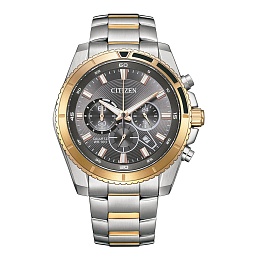 Citizen Wrist Watch AN8204-59H