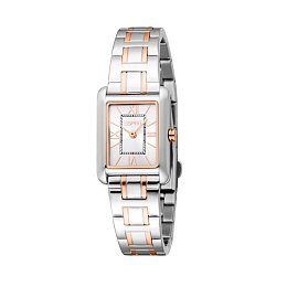 ESPRIT Women Watch, Two Tone Silver & Gold Color C