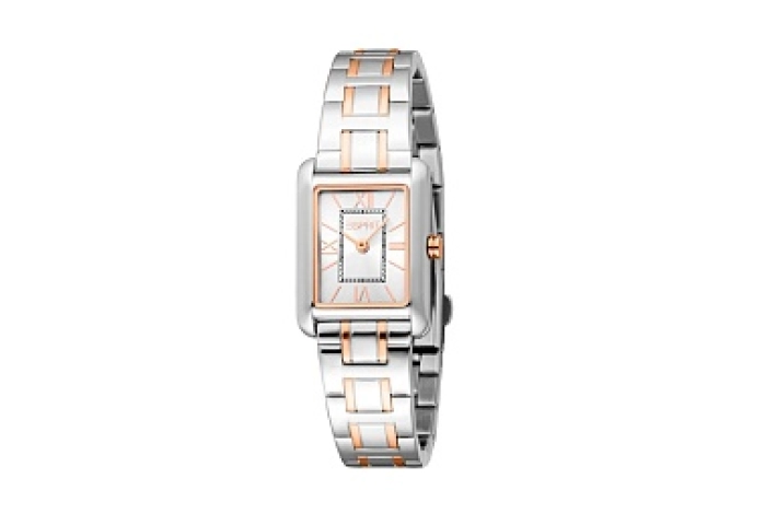 ESPRIT Women Watch, Two Tone Silver & Gold Color C