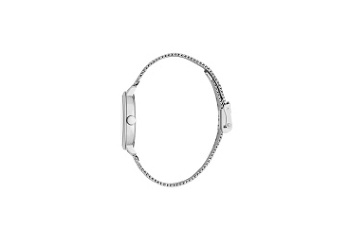 ESPRIT Women Watch, Silver Color Case, Silver Dial