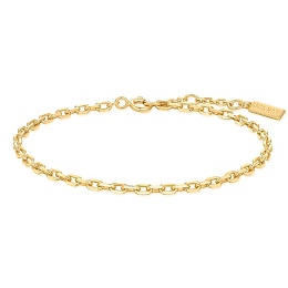 Браслет Ania Haie / B067-02G