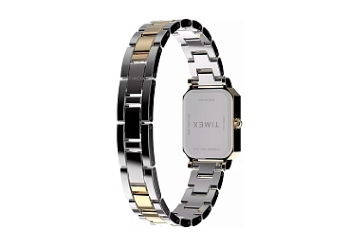 Women's Dress Gold tone with Silver Dial and Two-T