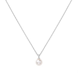 Ожерелье и Кулон Ania Haie / N065-01H