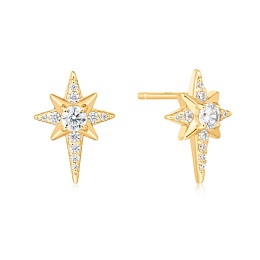 Серьги Ania Haie / E065-02G