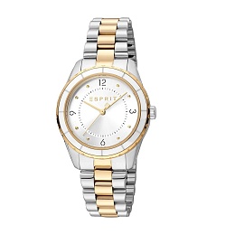 ESPRIT Women Watch, Two Tone Silver & Gold Color C