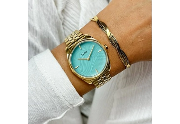 Féroce Petite Watch Steel