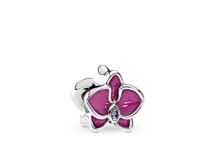 PANDORA Charm/792074EN69