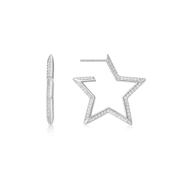 Серьги Ania Haie / E064-09H