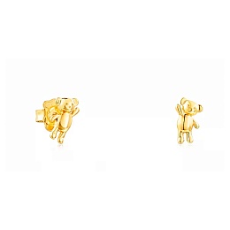 SILVER GOLD PLATED EARRINGS