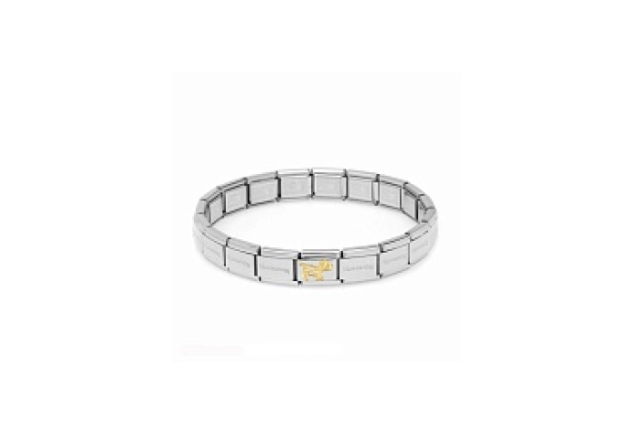 Composable Classic ANIMALI TERRA acciaio Cane