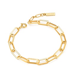 Браслет Ania Haie / B062-04G