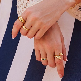 Кольцо Ania Haie / R062-01G-58