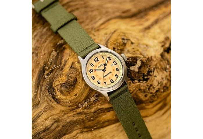 Expedition North® Sierra Silvertone LLB Case