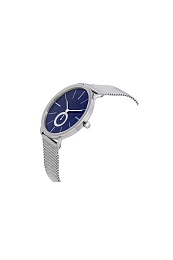 Skagen Watch Quartz/ Часы кварцевые Скаген