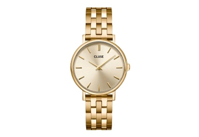 Pavane Petite 2.0 Steel Watch, Full Gold Colour