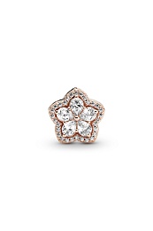 Snowflake Pandora Rose charm with clearcubic zirconia /789224C01