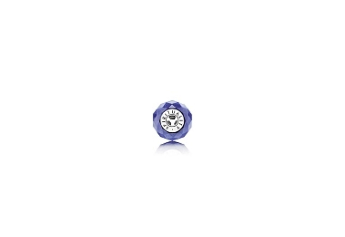PANDORA Charm/796067NIB