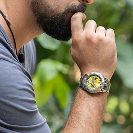 Наручные часы  Festina / F20743-4