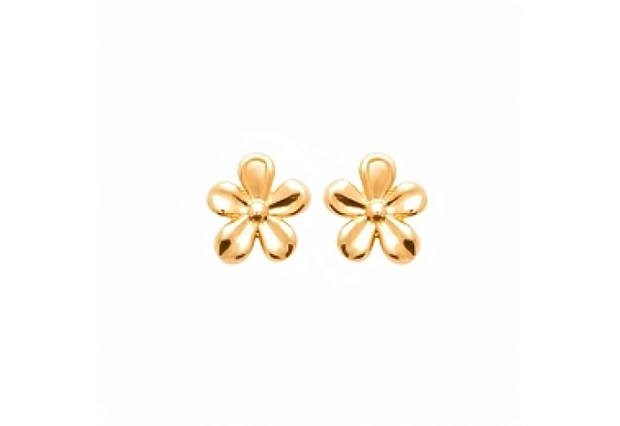 EARRINGS 18 KT GOLD PLATED