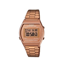 Casio General B640WC-5ADF Watch