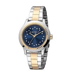 ESPRIT Women Watch, Two Tone Silver & Gold Color C