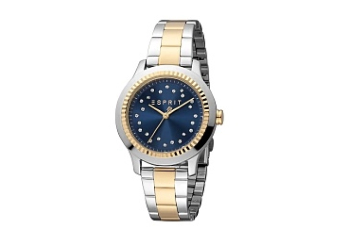 ESPRIT Women Watch, Two Tone Silver & Gold Color C