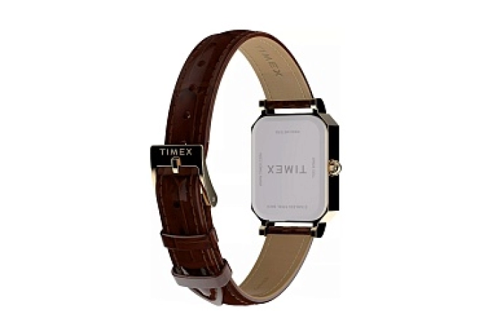 Women's Dress Gold tone with Silver Dial and Brown