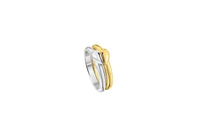 2 SILVER GOLD PLATED EARRING HEART 2 TONE