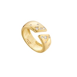 Gold Sparkle Wide Adjustable Ring