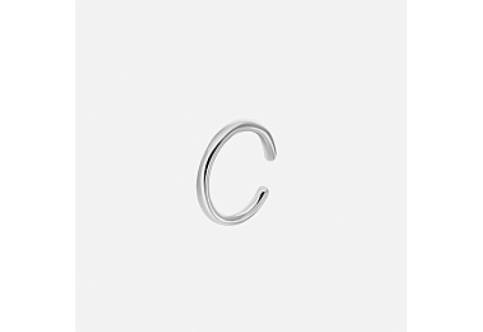 СЕРЬГА