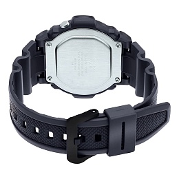 Casio General W-219H-8BVDF Wrist Watch