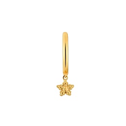 1 SILVER GOLDPLATED EARRING STAR 10MM