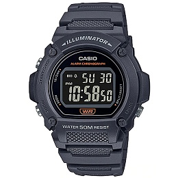 Casio General W-219H-8BVDF