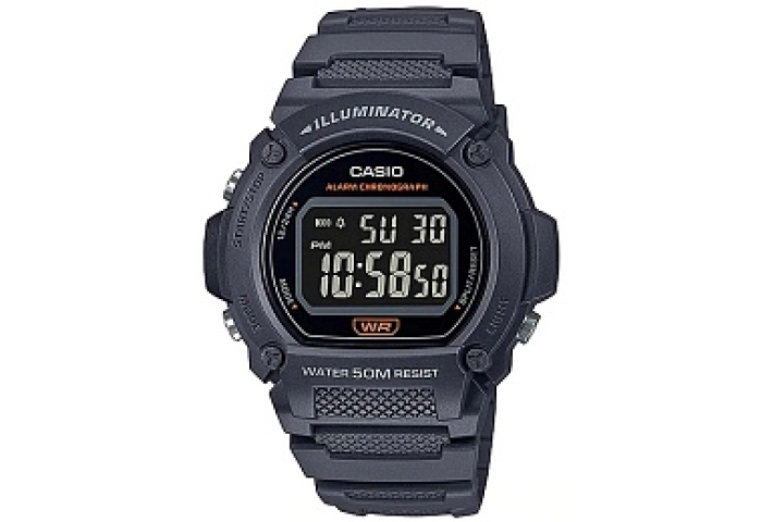 Casio General W-219H-8BVDF