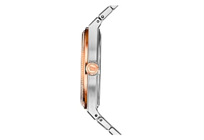 FESTINA SWISS SRA.ACE.ESF.PLATA