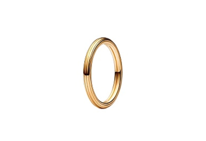 14k Gold-plated ring
