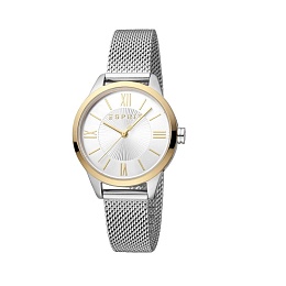 ESPRIT Women Watch, Two Tone Silver & Gold Color C