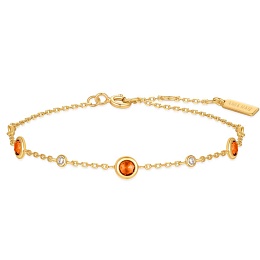 Браслет Ania Haie / B066-01G